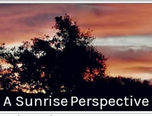 A Sunrise Perspective