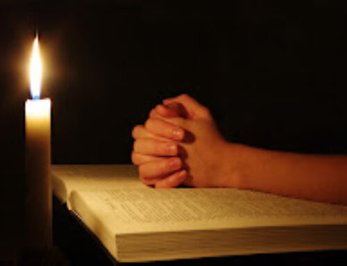 The Gospel Through a Franciscan Lens – 5th Week in Ordinary Time – Fr. Christopher