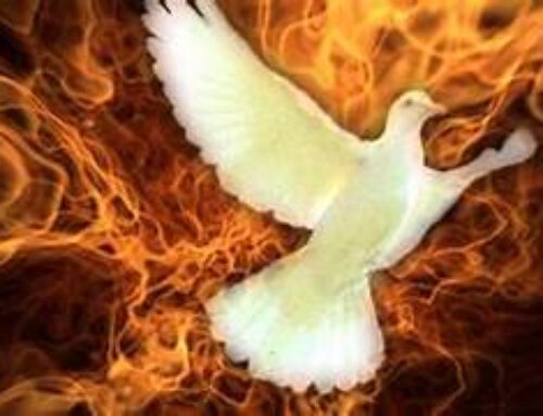 The Gospel Through a Franciscan Lens – 20th Sunday in Ordinary Time – Fr. Christopher