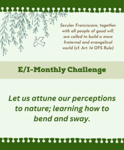 Ecumenical Interfaith monthly challenge: Let us attune our perceptions to nature; learning how to bend and sway.
