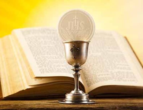 The Gospel Through a Franciscan Lens – 5th Sunday of Easter – Fr. Christopher