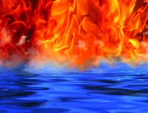 The Gospel Through a Franciscan Lens – 2nd Sunday in Advent and the Immaculate Conception – Fr. Christopher