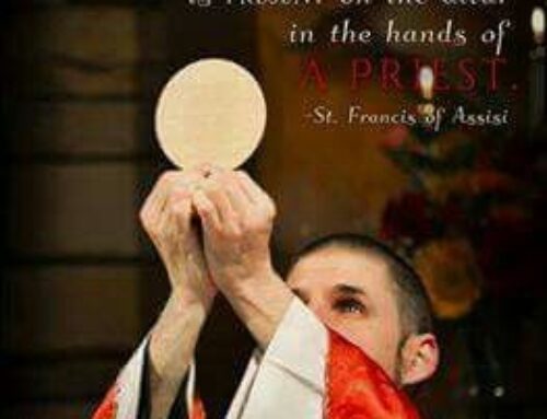 The Gospel Through a Franciscan Lens – Solemnity of Corpus Christi – Fr. Christopher