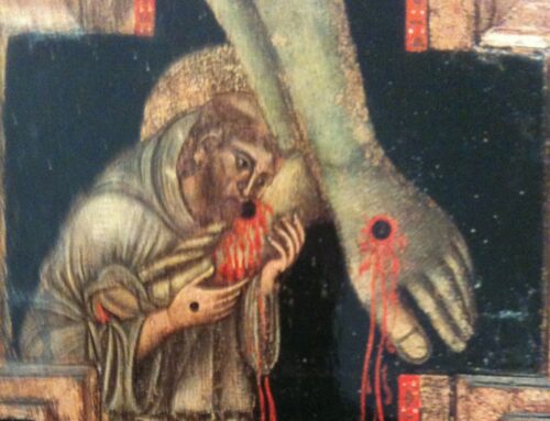 The Gospel Through a Franciscan Lens – Christ the King – Fr. Christopher