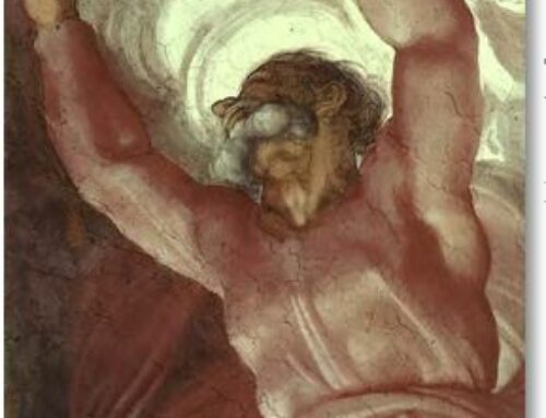 Formation Commission – The Light of the World: We Are Called to See It and Be It