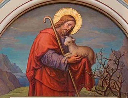The Gospel Through a Franciscan Lens – Good Shepherd Sunday – 4th Sunday of Easter – Fr. Christopher