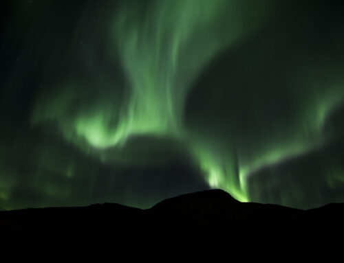 The Gospel Through a Franciscan Lens – 33rd Sunday in Ordinary Time – Fr. Christopher