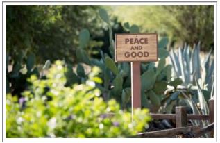 Wooden sign in a garden with Peace and Good 