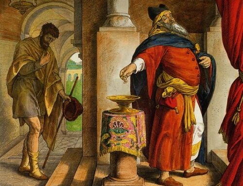 The Gospel Through a Franciscan Lens – 30th Sunday in Ordinary Time – Fr. Christopher