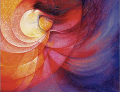 The Gospel Through a Franciscan Lens – 15th Sunday in Ordinary Time – Fr. Christopher