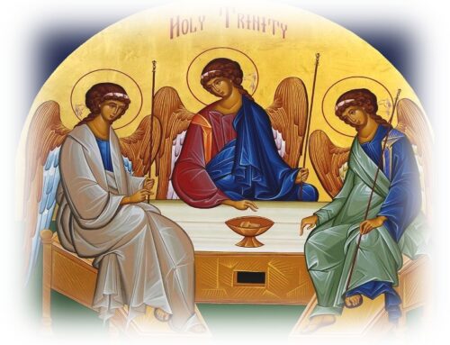 The Gospel Through a Franciscan Lens – Trinity Sunday – Fr. Christopher