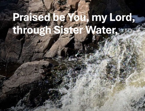 Canticle of the Creatures Meditation