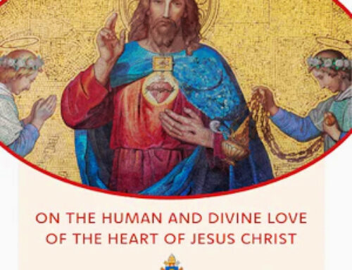 Jubilee Year of Hope: Not To Lose Heart