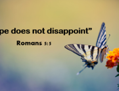 Hope Built on Faith Results in an Increase in Vocations