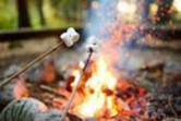 Picture of a camp fire of wood burning and a stick with a marshmallow on it