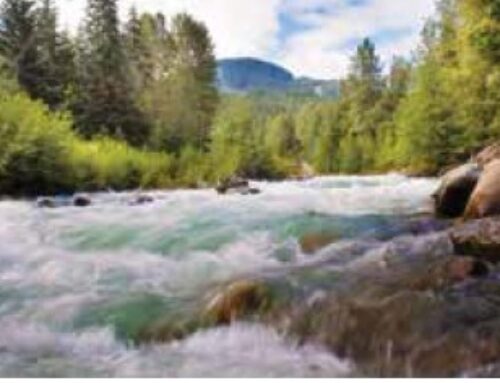 YouFra Reﬂection NAFRA Chapter 2025