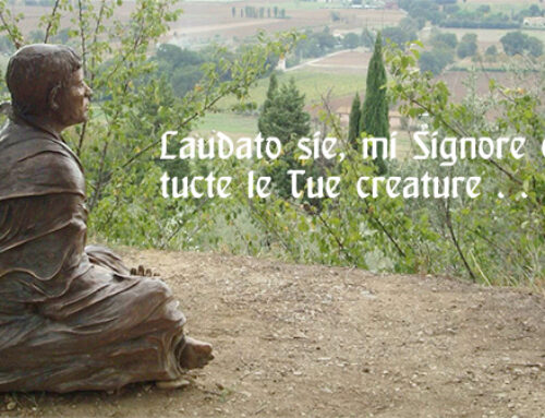 Chapter Formation: Celebrating 800 Years of the Canticle of the Creatures