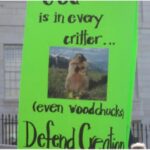 Pictiure of a poster with a woodchuck and written on it - God is in every critter (even woodchucks) Defend Creation