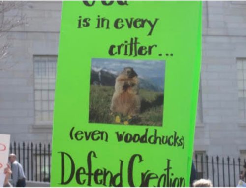 Doing our Little Bit for Justice