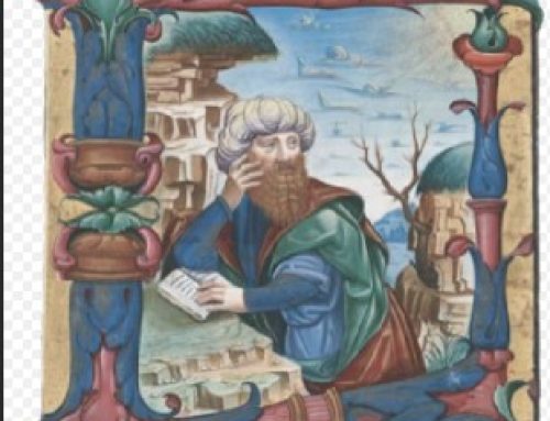 Opposing Indifference: Actions of Accompaniment in the Year of St Francis