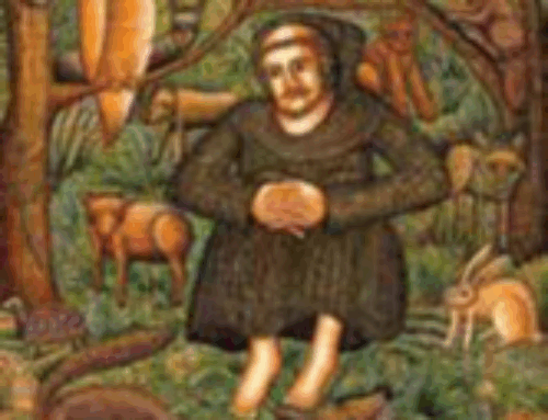 All Creation Sings – Canticle of the Creatures Reflections