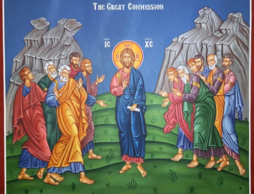 The Gospel Through a Franciscan Lens – 11th Sunday in Ordinary Time – Fr. Christopher