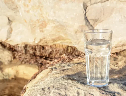 The Gospel Through a Franciscan Lens – 13th Sunday in Ordinary Time – Fr. Christopher
