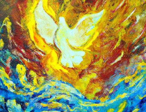 The Gospel Through a Franciscan Lens – Pentecost – Fr. Christopher