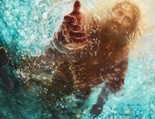 The Gospel Through a Franciscan Lens – 19th Sunday in Ordinary Time – Fr. Christopher