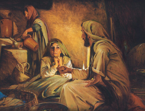 The Gospel Through a Franciscan Lens – 16th Sunday in Ordinary Time – Fr. Christopher