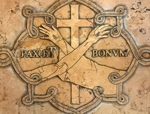 The Gospel Through a Franciscan Lens – Feast of the Dedication of the Lateran Basilica – Fr. Christopher