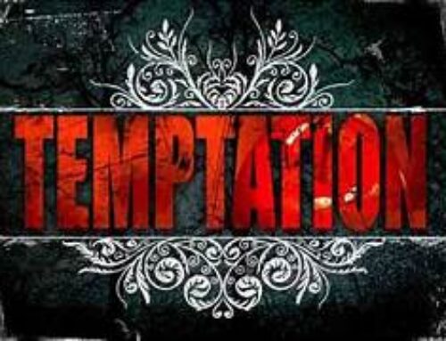 The Gospel Through a Franciscan Lens – 1st Sunday in Lent – Fr. Christopher