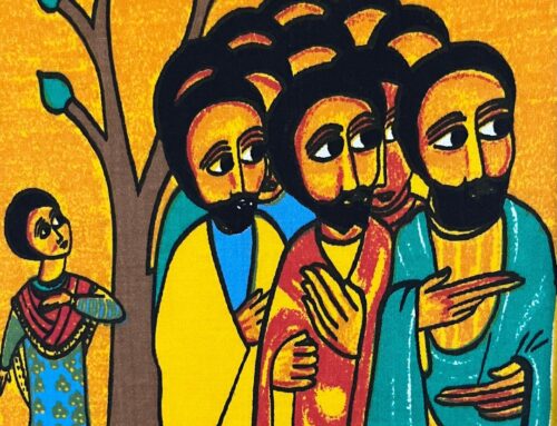 The Gospel Through a Franciscan Lens – 19th Sunday in Ordinary Time – Fr. Christopher